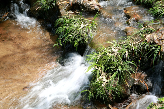 泉水 溪流 水花 溪水 小溪