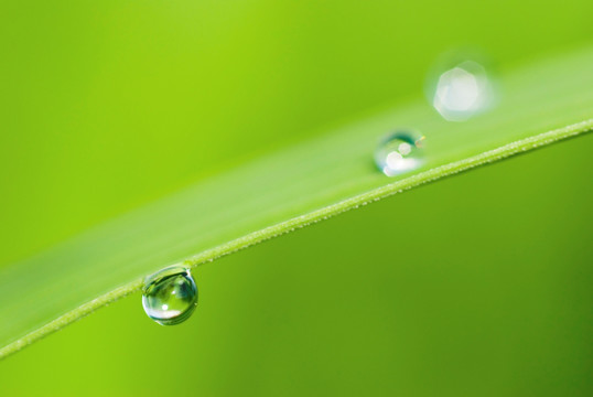 雨滴