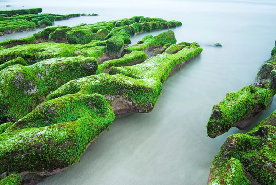 岩石海岸与新鲜海藻