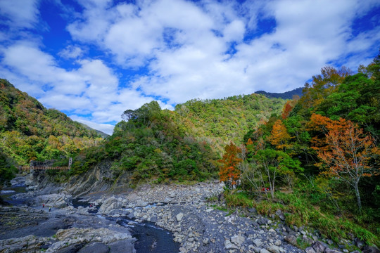 山涧景色