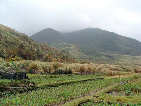 兰屿椰子村