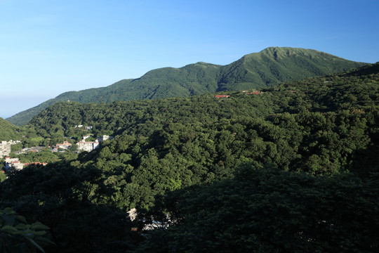 阳明山