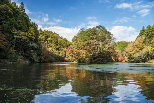 龟山湖秋色