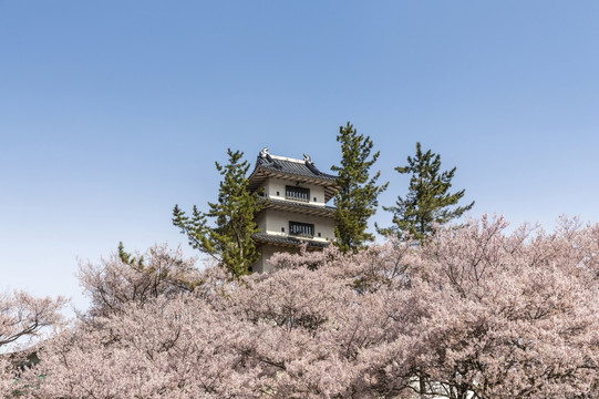日本高远城堡遗址
