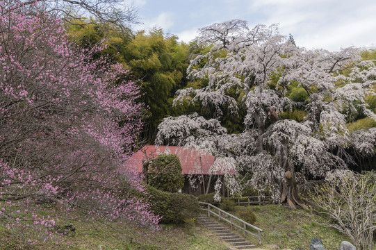 日本福岛州