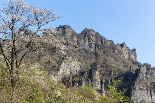 日本妙义山