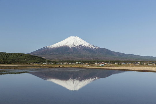 富士山在日本稻田表面上的反射