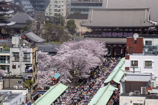 日本东京仲见世街