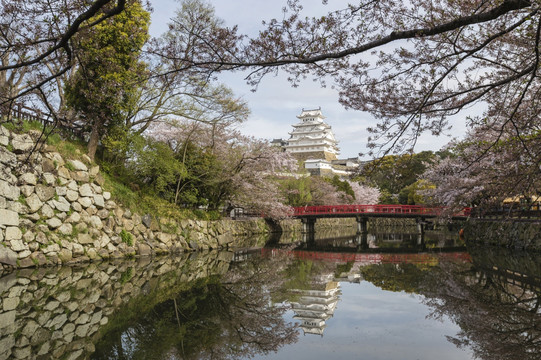 日本姬路城堡