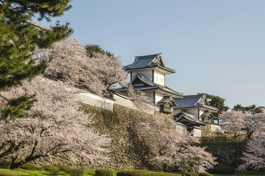 日本金泽城堡