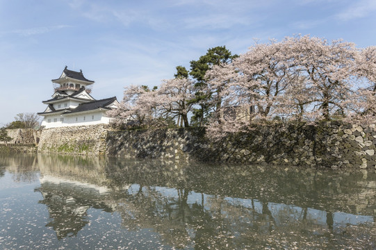 日本富山