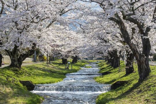 观音寺河，福岛，日本