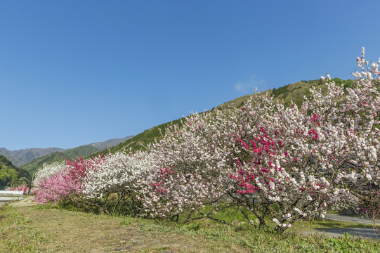 月亮河温泉