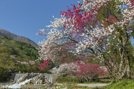 月亮河温泉