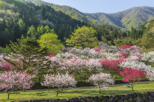 月亮河温泉