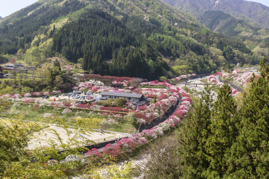 月亮河温泉