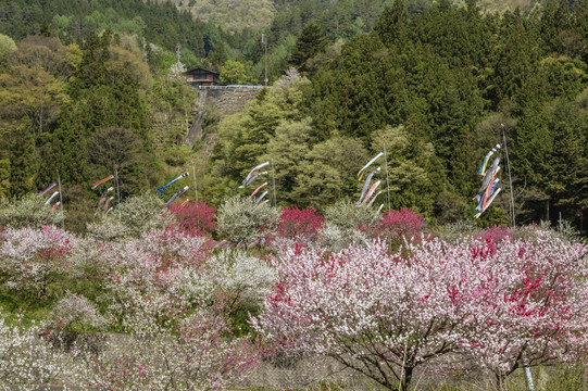 月亮河温泉