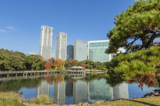 滨花园，东京，日本