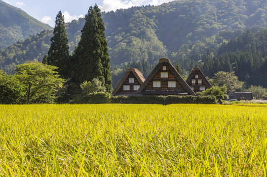 白川乡和五箇山