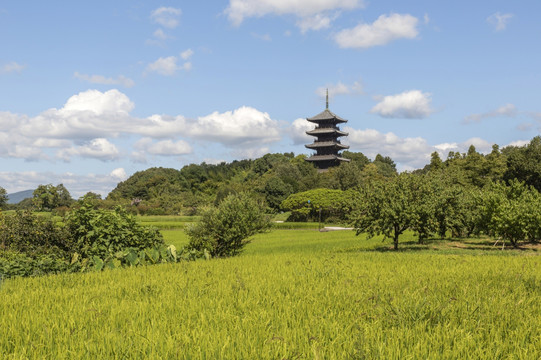 日本冈山县五层宝塔