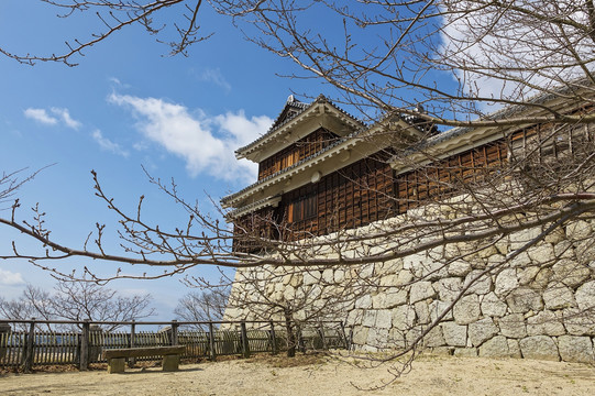 日本松山城