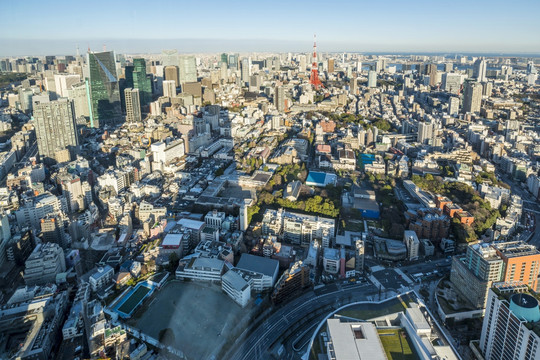 东京市的塔