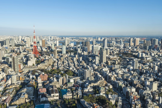 东京市的塔