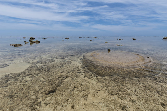 海鸠间岛