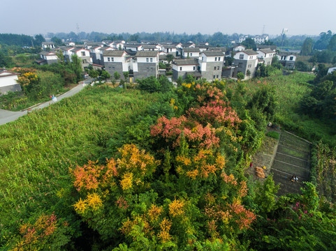 成都郫县青岗树村俯瞰