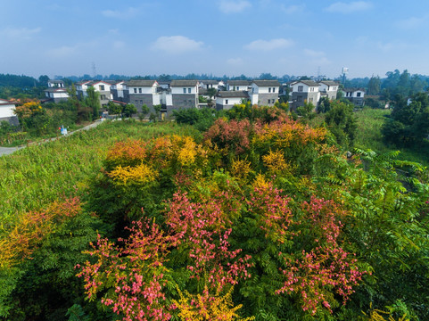 成都郫县青岗树村俯瞰