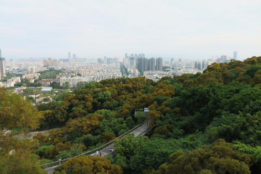 金鸡山公园