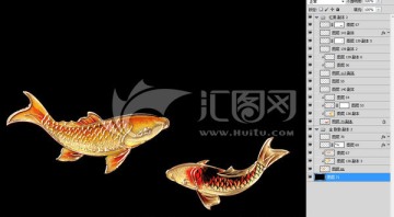 魚 內(nèi)有分層圖
