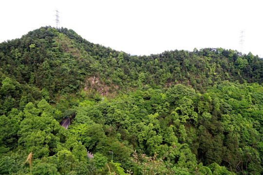 重庆南山森林公路