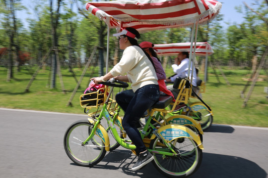 三台山国家森林公双人自行观光车