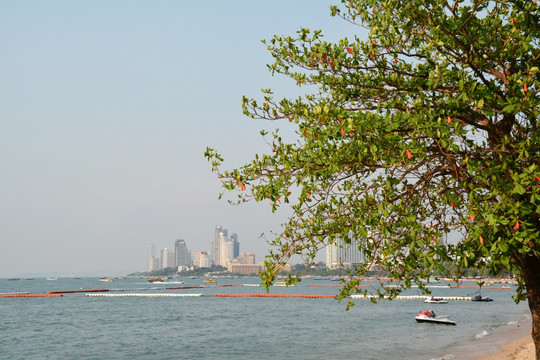 芭提雅海滩