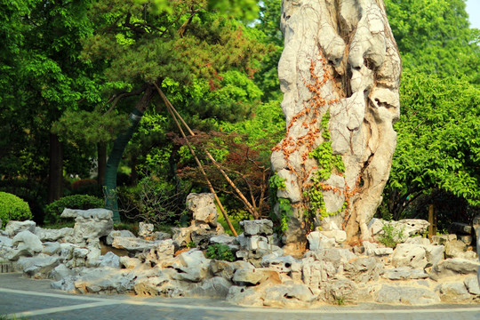 扬州荷花池公园假山石