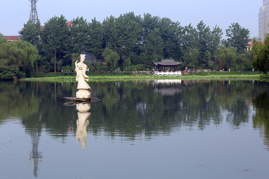 扬州荷花池公园荷仙菇