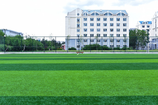 足球场草坪 绿地