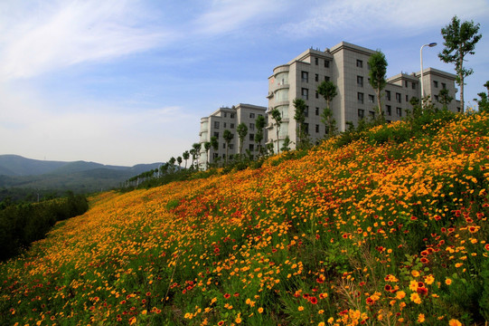 山顶建筑