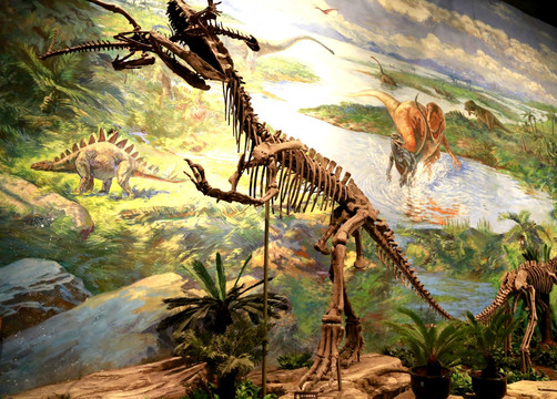 霸王龙 恐龙 化石 细节 古生