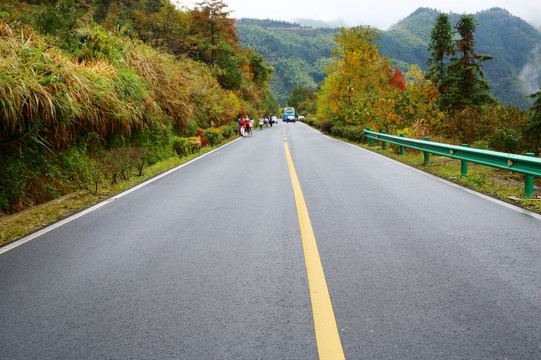 公路 柏油路 景区道路