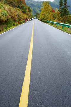 景区道路 旅游绿道