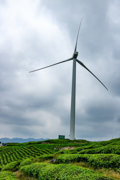 风力发电 风电场