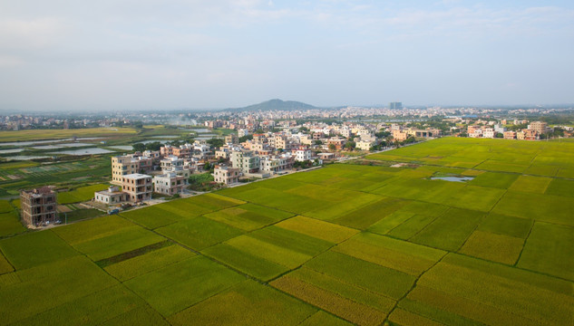 乡村 田野 美丽乡村