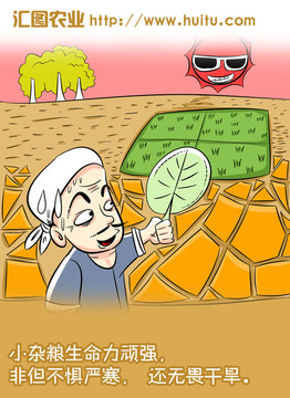 農(nóng)業(yè)糧食雜糧粗糧大米漫畫海報(bào)