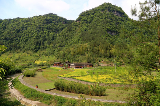 土家十三寨 田园风光