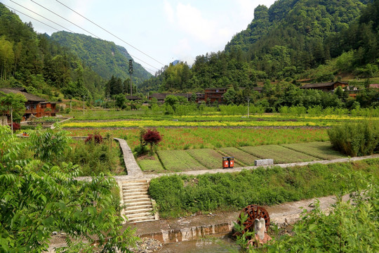 土家十三寨