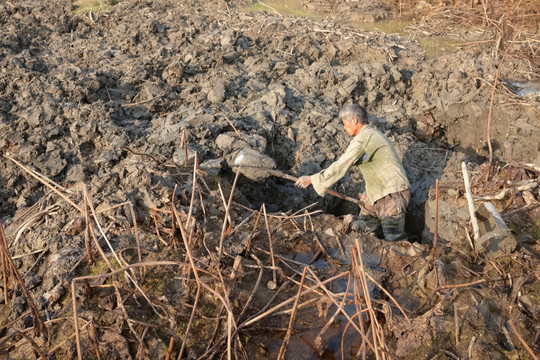 泥塘挖耦农民