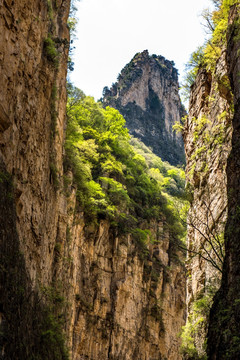 太行山大峡谷八泉峡