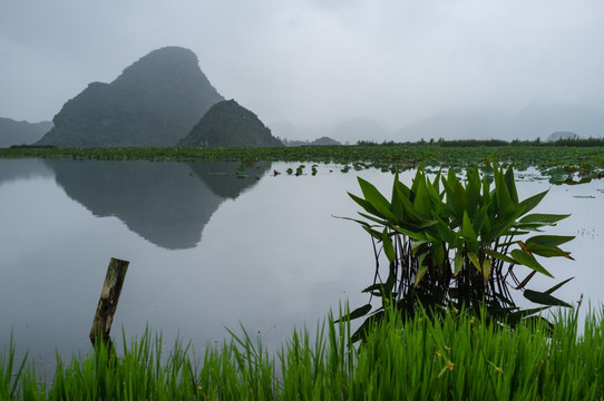 普者黑山水